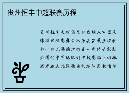 贵州恒丰中超联赛历程