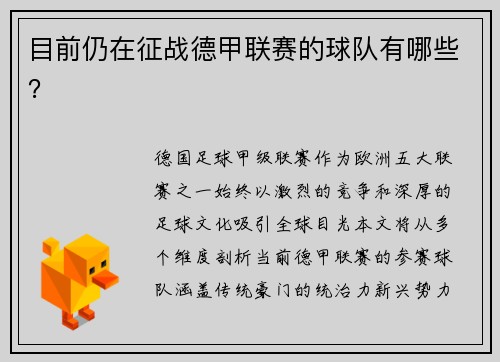 目前仍在征战德甲联赛的球队有哪些？